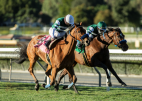 California horse racing purses